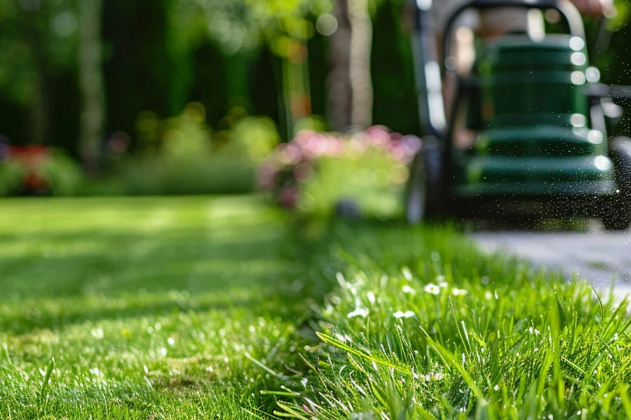 cordless electric mowers